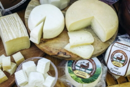 2 варіанти підтримання рентабельності козиної ферми