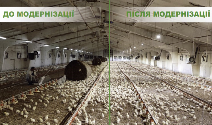 Кероване світло в пташнику