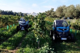 Електричний Renault Twizy перетворили на автономного робота для виноградників