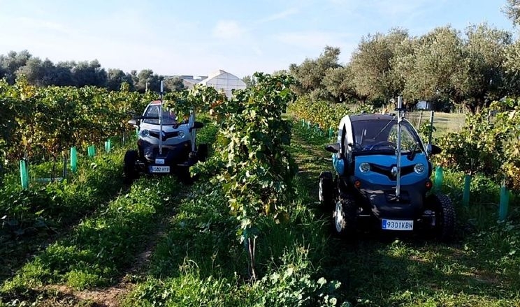 Електричний Renault Twizy перетворили на автономного робота для виноградників
