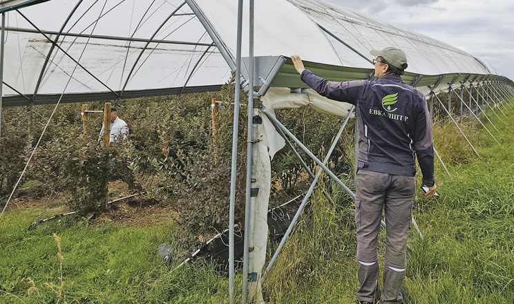 Технології проти погоди