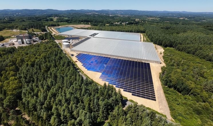 Найбільша сонячна електростанція у Франції забезпечить теплиці теплом 