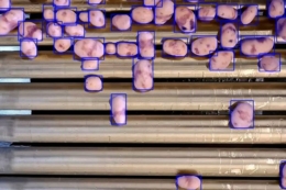 Бельгійський ШІ навчився ідеально чистити картоплю та овочі