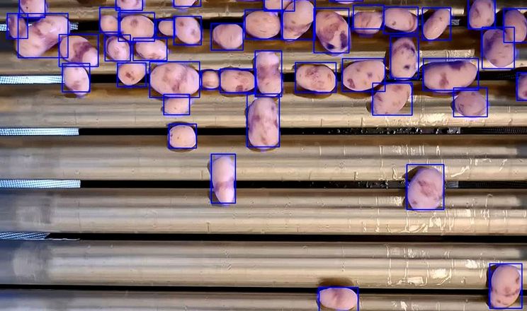 Бельгійський ШІ навчився ідеально чистити картоплю та овочі