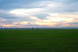 Сівба озимих завершена в «Укрпромінвест-Агро»