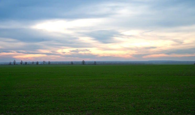 Сівба озимих завершена в «Укрпромінвест-Агро»