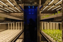 У Китаї створили корабельну ферму для свіжих овочів грибів