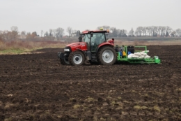 Перша комунальна плантація міскантусу в Україні висаджена на Хмельниччині