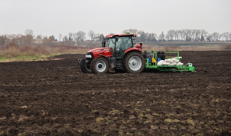 Перша комунальна плантація міскантусу в Україні висаджена на Хмельниччині