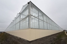 Висока теплиця рятує врожай томатів від аномальної літньої спеки