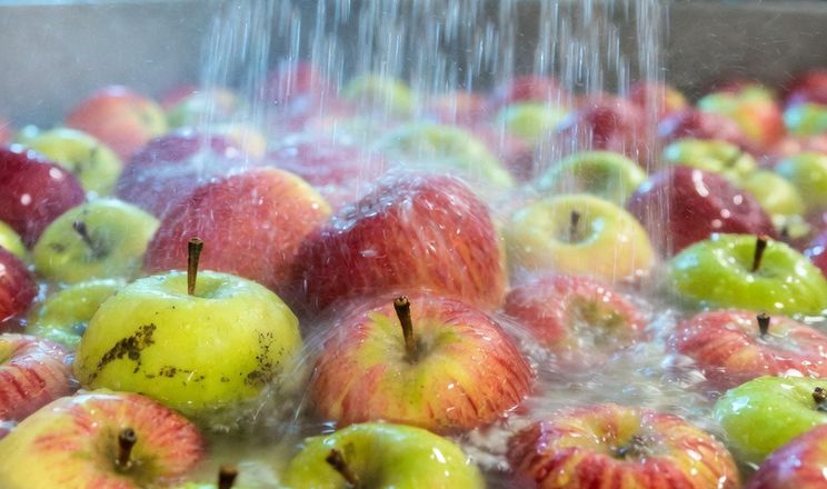 «Термотерапія» є ефективним і недорогим рішенням для зберігання яблук