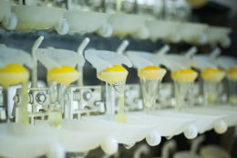 Забійний і яйцепереробний цехи зупиняють за виявлення там кампілобактерій