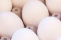 Чому в Європі зростає попит на українські яйця