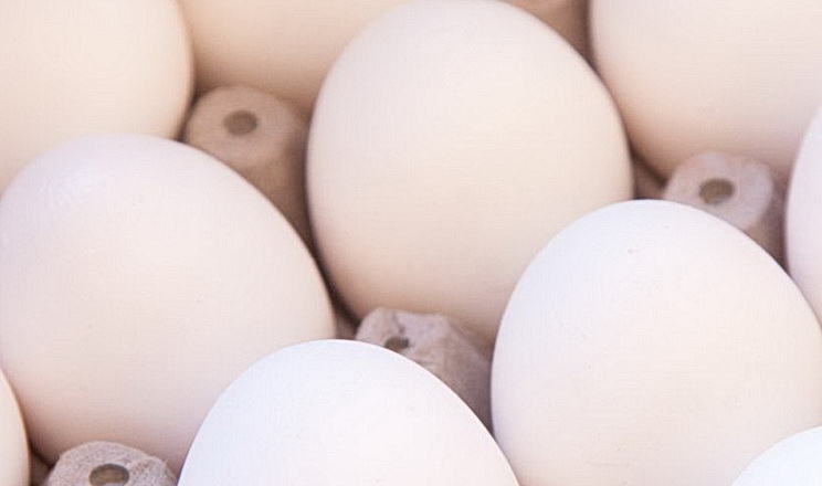 Чому в Європі зростає попит на українські яйця