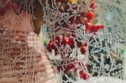 З Різдвом Христовим!