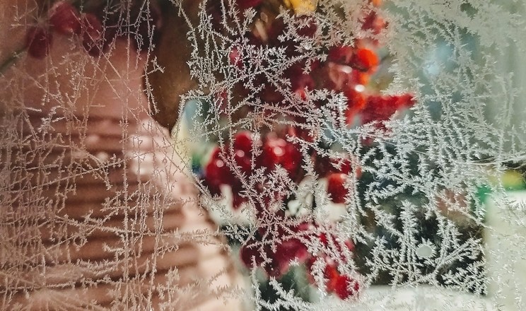 З Різдвом Христовим!