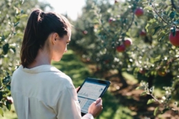 Жінки стають дедалі затребуванішими в садівництві під час війни