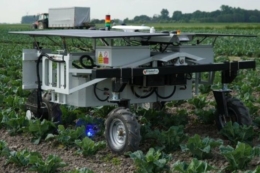 Earth Rover почав знищувати бур’яни лазером&nbsp;