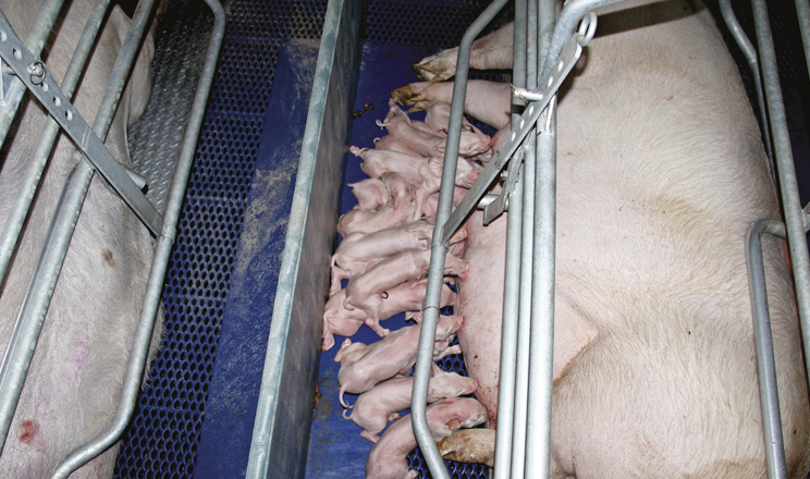 Комплексний вплив