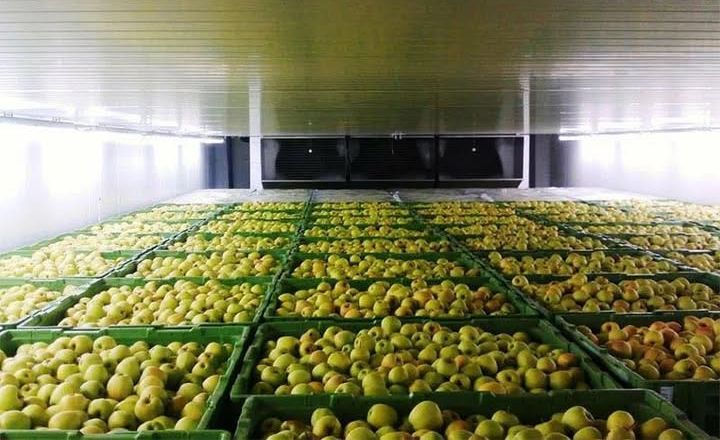 Виробники отримають гранти до 20 млн грн на будівництво овоче- та фруктосховищ