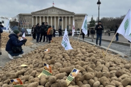 У Парижі фермери-протестувальники роздавали картоплю безкоштовно