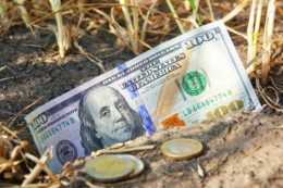 Укрдержфонд підтримки фермерських господарств отримав повноваження Виплатної агенції