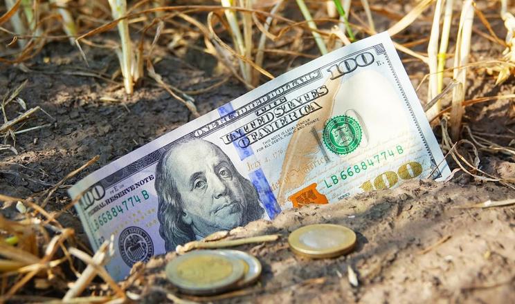 Укрдержфонд підтримки фермерських господарств отримав повноваження Виплатної агенції