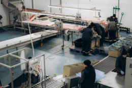 Кам’янка-Бузький завод перероблятиме овочі та вишню