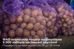 ФАО оголосила тендер на закупівлю 9 тис. наборів насіннєвої картоплі