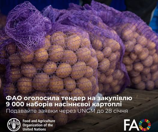 ФАО оголосила тендер на закупівлю 9 тис. наборів насіннєвої картоплі