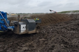 Три головні переваги компосту порівняно з прямим внесенням гною – досвід