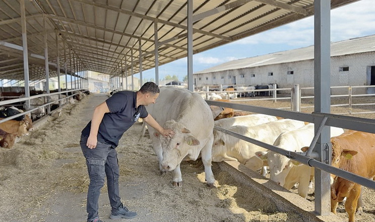 Тваринництво забезпечує «Ратнівському аграрію» прибуток до 30 грн/кг