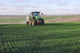 У Tekom Agro Group вносять сульфат амонію по мерзлоталому ґрунту