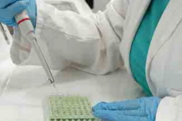 Євросоюз ‒ на порозі великих змін у ветеринарній медицині