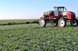 Підживлення озимого ріпаку по мерзлоталому ґрунту розпочали в Tekom Agro Group