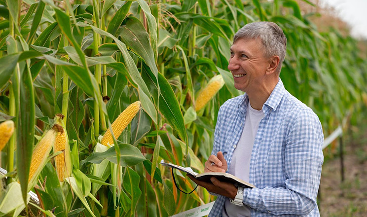 Революційна ситуація