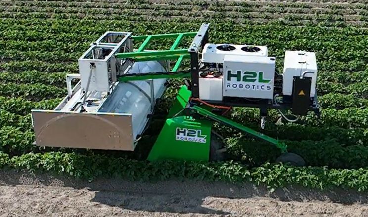 У Нідерландах створили автономного робота для селекції картоплі