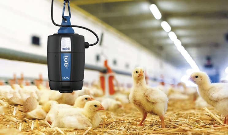 Сенсори, які бачать більше