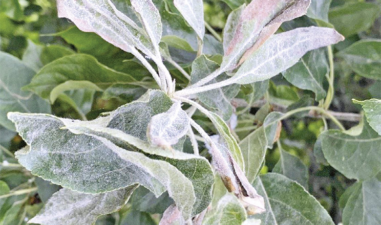 Безперебійний захист