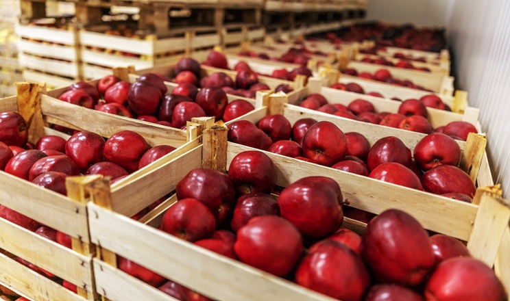 На ринок вивели новинку для живлення садів кальцієм