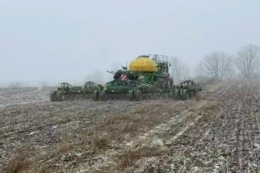 Озимі в Tekom Agro Group досівали наприкінці грудня