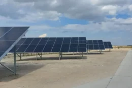 «Пан Курчак» забезпечив сонячними панелями всі свої ферми та підрозділи