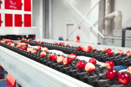 Поширення пресортингу виведе Україну у вищу категорію світового ринку яблук