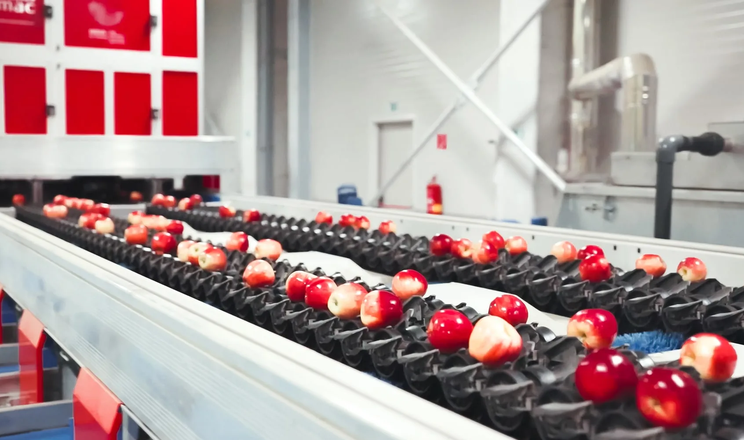 Поширення пресортингу виведе Україну у вищу категорію світового ринку яблук