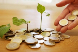 В Україні страхування агропродукції відбуватиметься із держпідтримкою