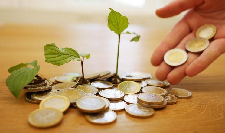 В Україні страхування агропродукції відбуватиметься із держпідтримкою