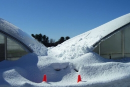 Українські аграрії рятують теплиці від руйнування через снігопади