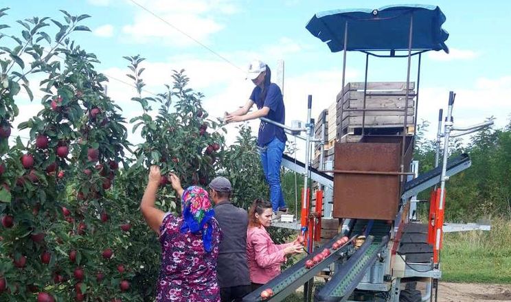 «Дружба ВМ» закупила два комбайни для збору яблук і планує ще три