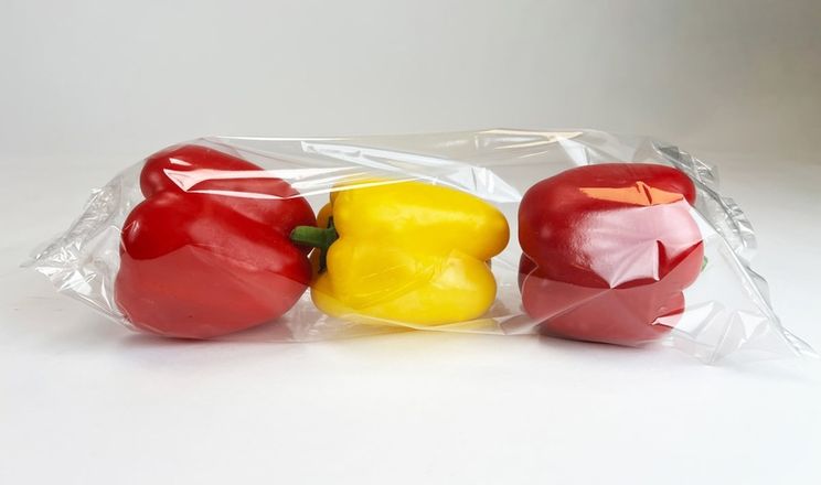 Нідерландська компанія представила харчові плівки з водоростей та пластику з океану