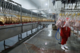 Гетманцев озвучив рейтинг кращих платників податків серед виробників м’яса